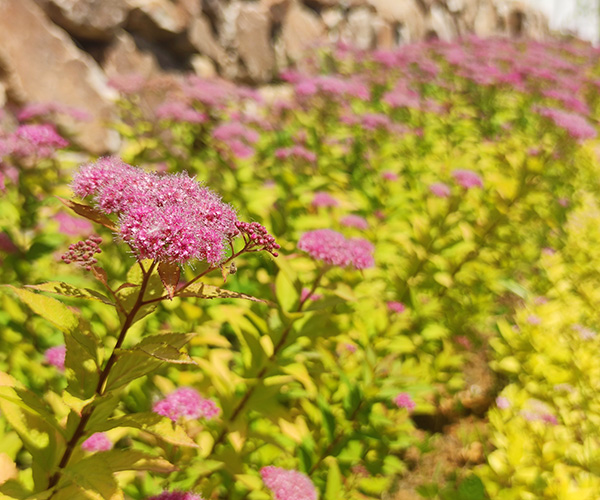 沈阳龙生墓园