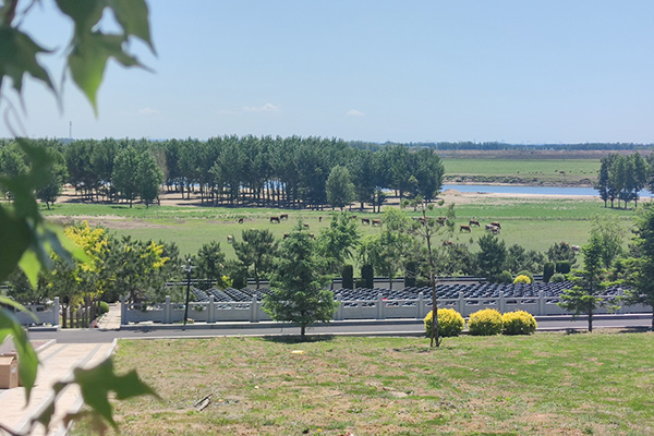 沈阳龙生墓园