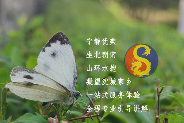 沈阳龙生墓园