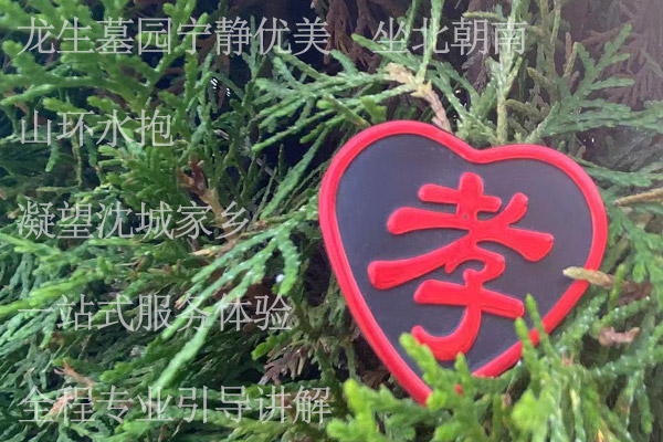 龙生墓园宁静优美，坐北朝南，山环水抱，凝望沈城家乡，一站式服务体验，全程专业引导讲解。