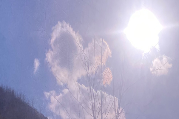 沈阳墓园哪家好的龙生墓园，大自然的风景，双龙戏宝！