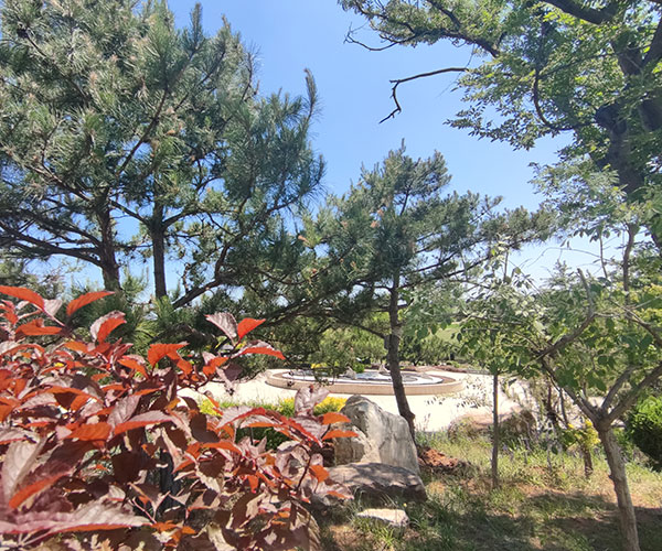沈阳墓园有哪些?沈阳墓地排名价格一览殡葬文书的公墓涵义