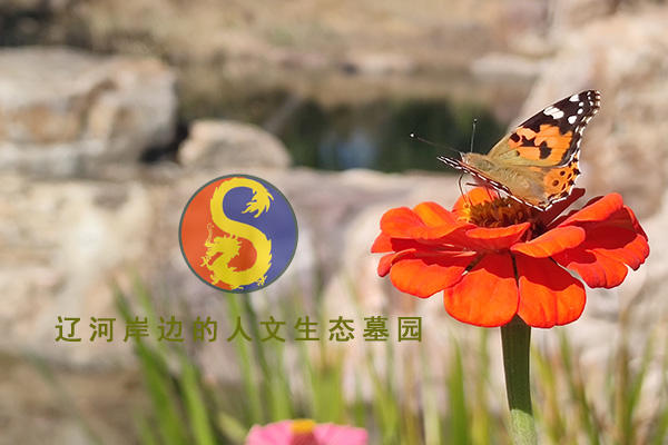 辽河岸边的人文生态墓园