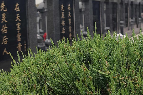 沈阳墓地公墓弘扬尊老、厚养薄葬、龙生公墓提倡文明节俭办理丧事