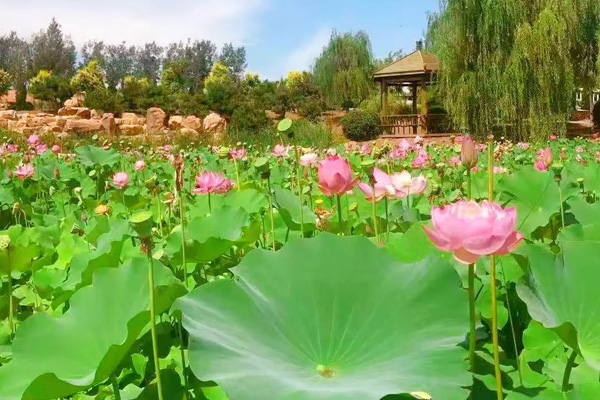 沈阳龙生墓园