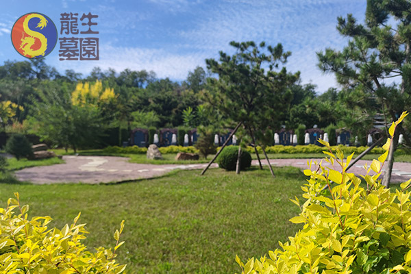 沈阳墓园提供选墓指导，龙生墓园讲师全程一对一服务！