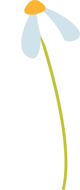 龙生微商城|触手可及的温暖