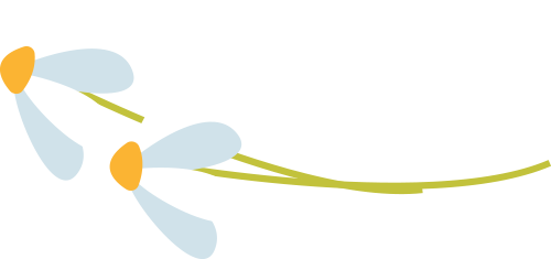 龙生微商城|触手可及的温暖