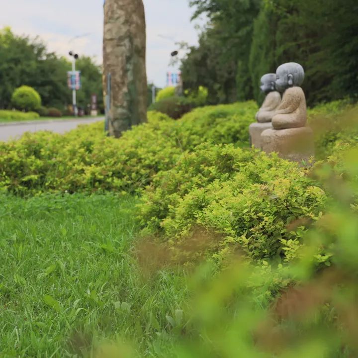 元旦特辑|回忆温暖,沈阳龙生墓园让爱照进未来