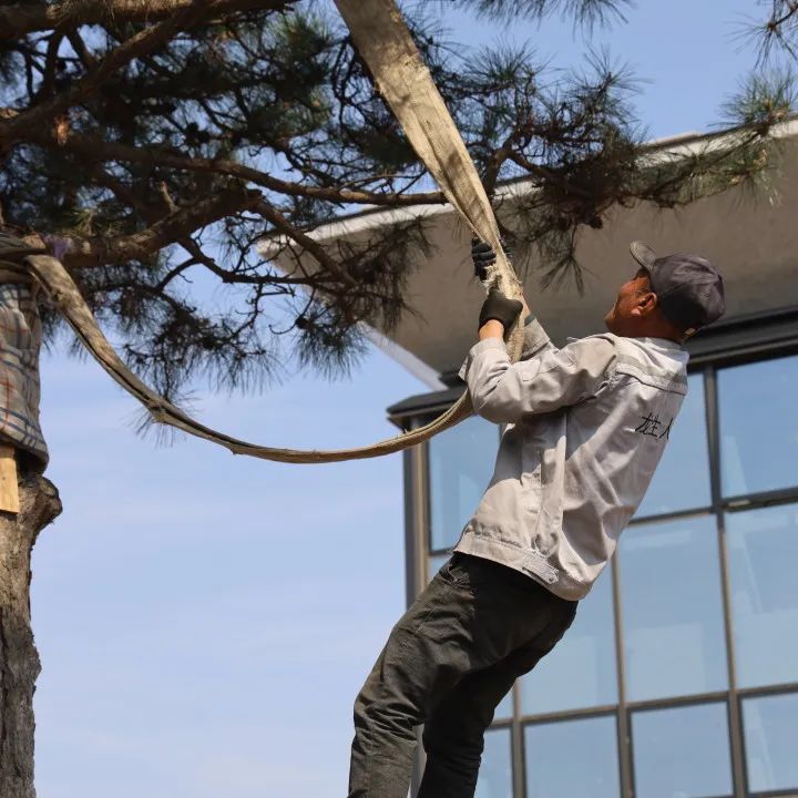 元旦特辑|回忆温暖,沈阳龙生墓园让爱照进未来