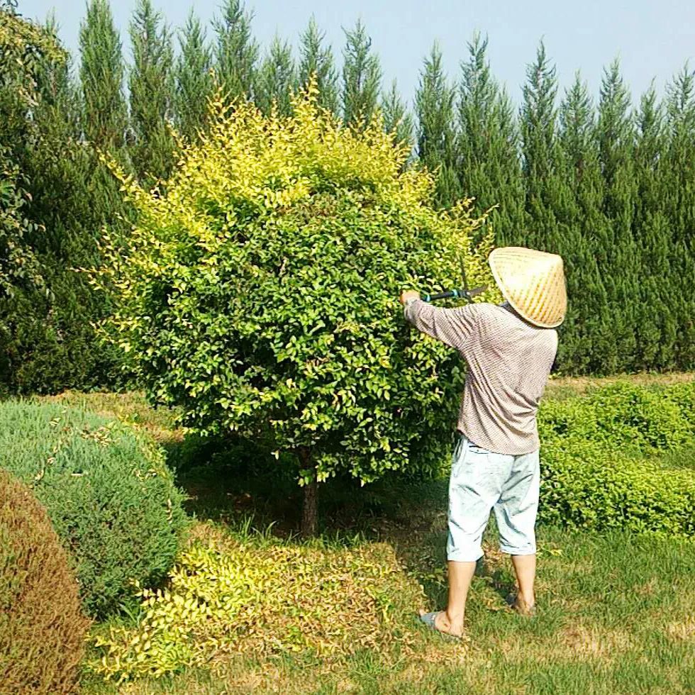 元旦特辑|回忆温暖,沈阳龙生墓园让爱照进未来