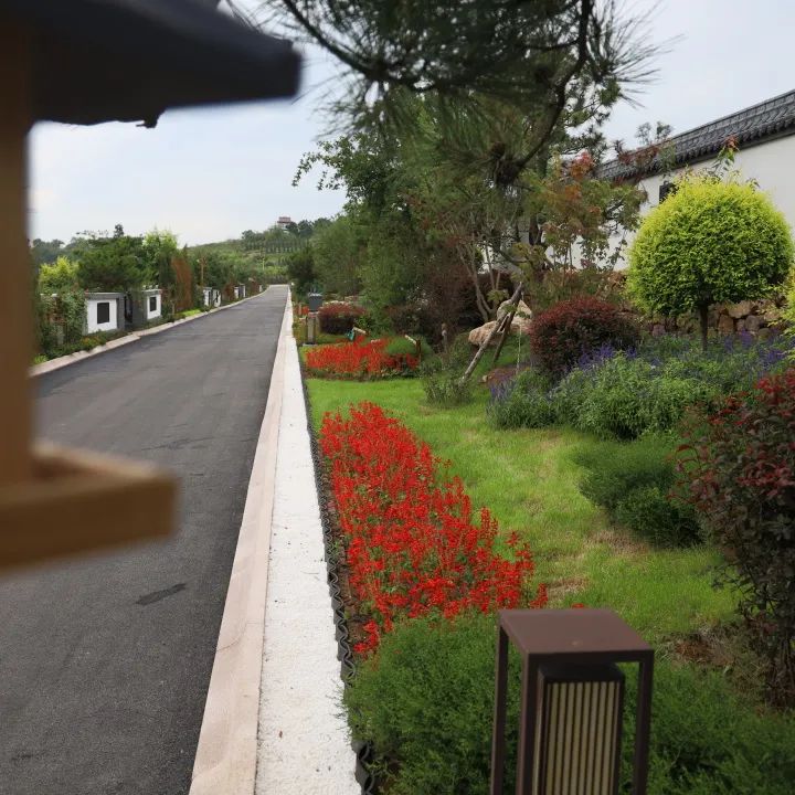 元旦特辑|回忆温暖,沈阳龙生墓园让爱照进未来