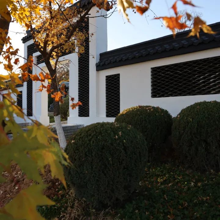 元旦特辑|回忆温暖,沈阳龙生墓园让爱照进未来