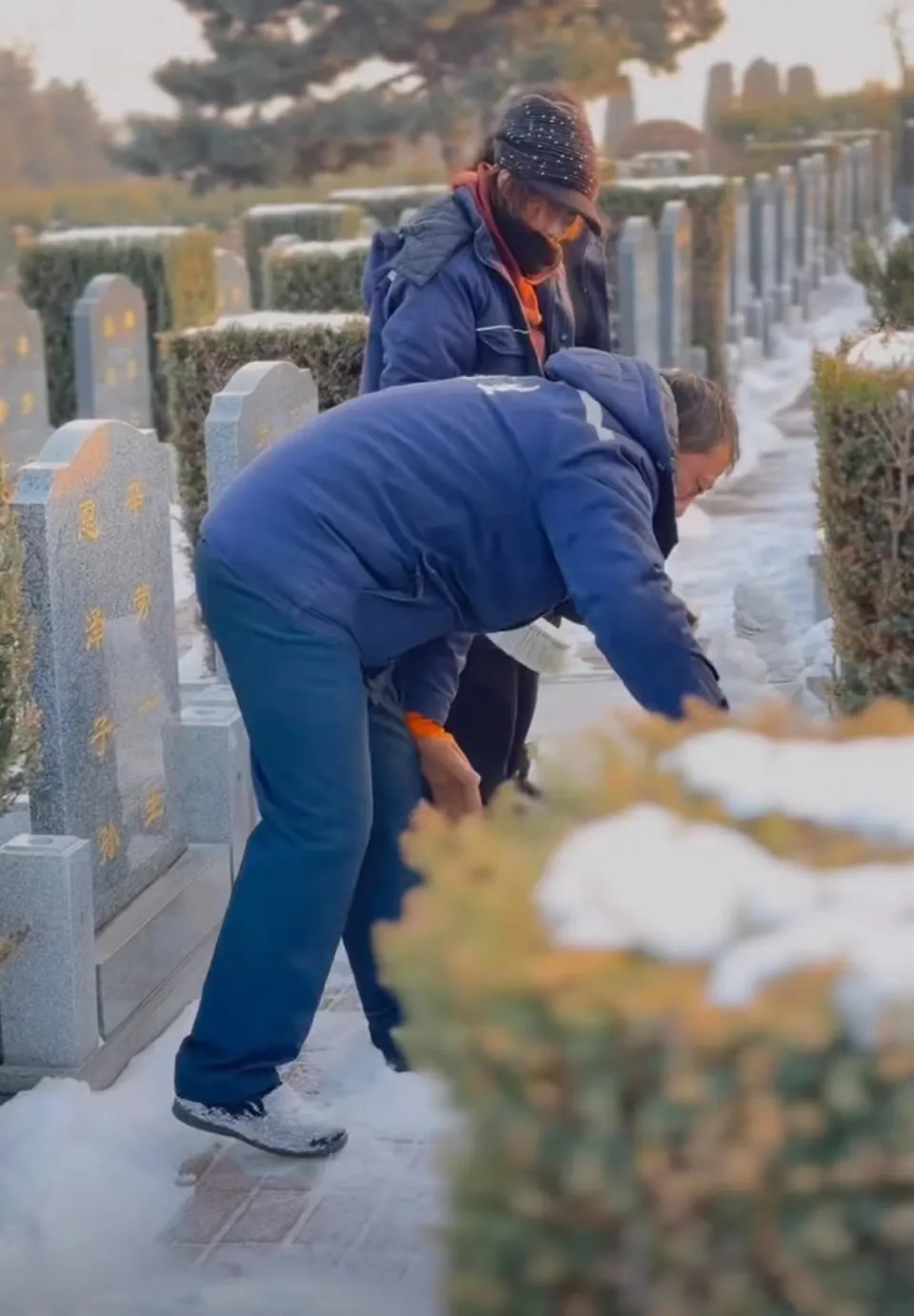 灯火映团圆，温情护新春 | 龙生墓园春节期间服务不停歇