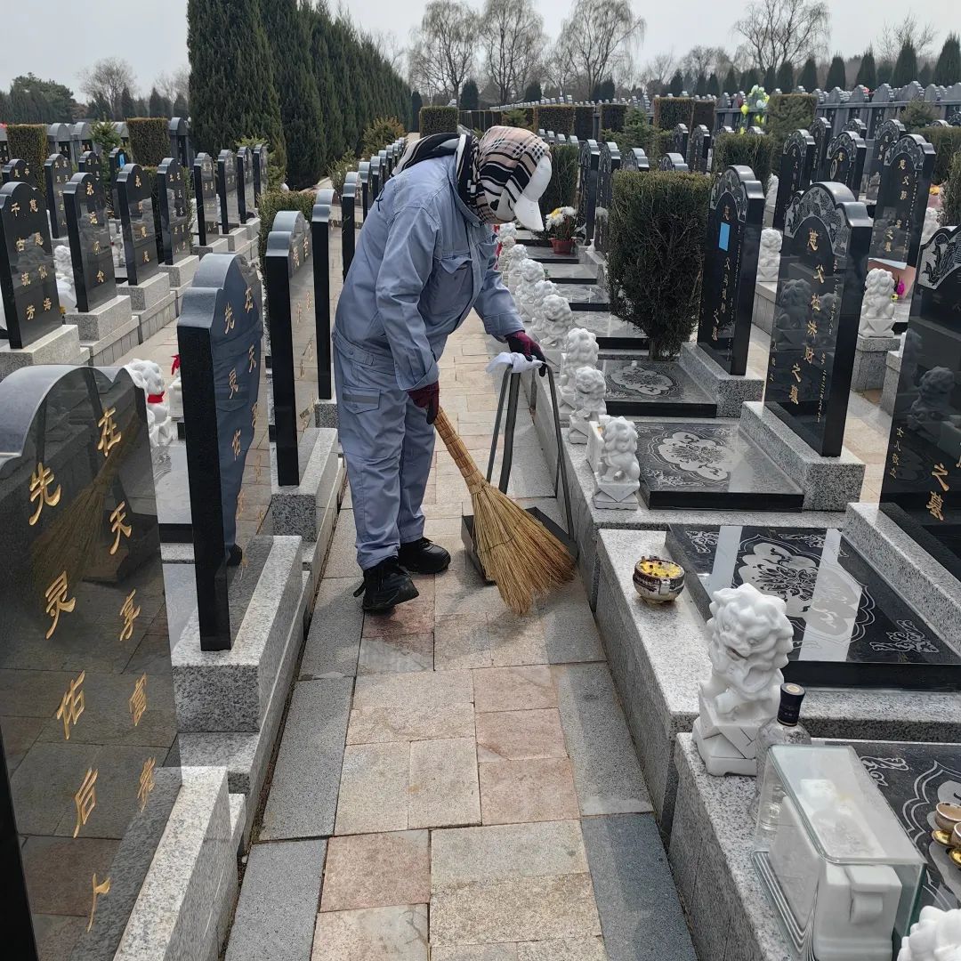 清明时节,沈阳墓园以心守候 | 记龙生墓地的春日长情