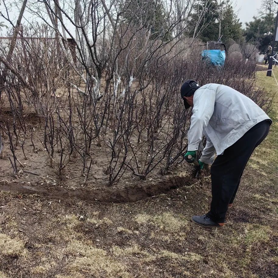 清明时节,沈阳墓园以心守候 | 记龙生墓地的春日长情