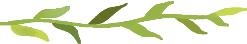 清明时节，沈阳墓园以心守候 | 记龙生墓地的春日长情