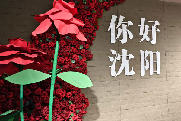 你好沈阳，墓地陵园的见证与思考