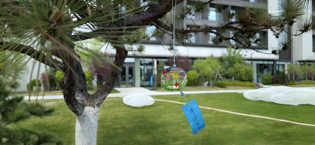 【一日“光影”，情满龙生】 ——沈阳公墓2025母亲节活动温暖回顾