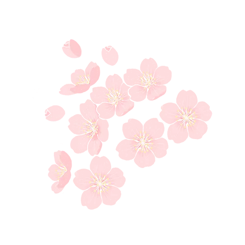 母亲节代祭服务，沈阳龙生墓园以专业守护每一份牵挂