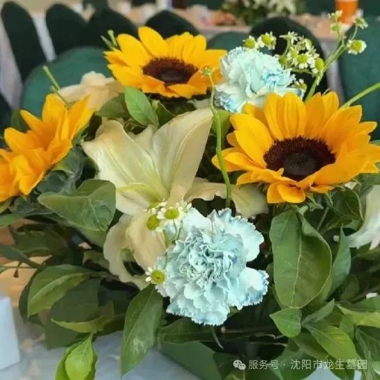 沈阳龙生墓园公益一日游 | 收获欢乐与感悟