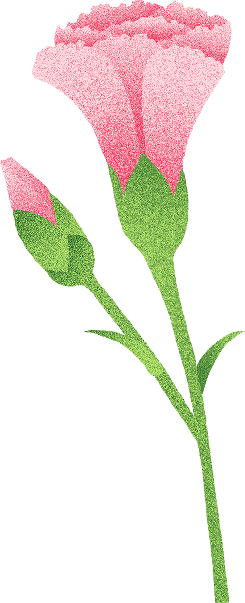 【一日“光影”，情满龙生】 ——沈阳公墓2025母亲节活动温暖回顾