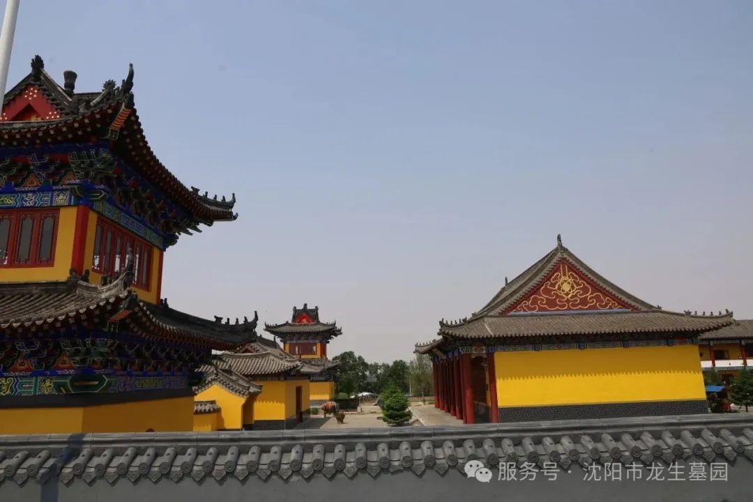 沈阳龙生墓园公益一日游 | 收获欢乐与感悟