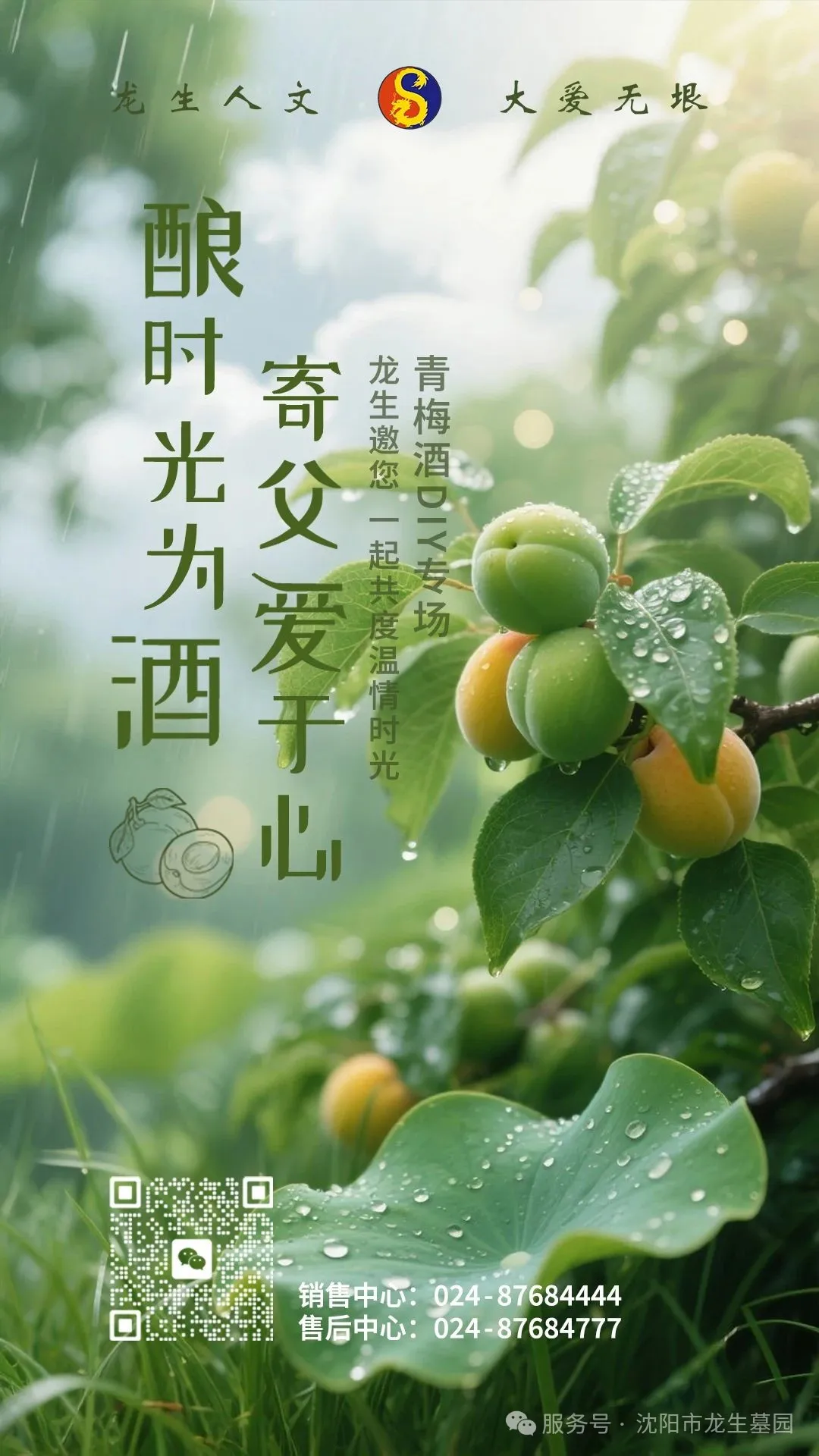 沈阳墓园邀您共赴父亲节温情公益一日游