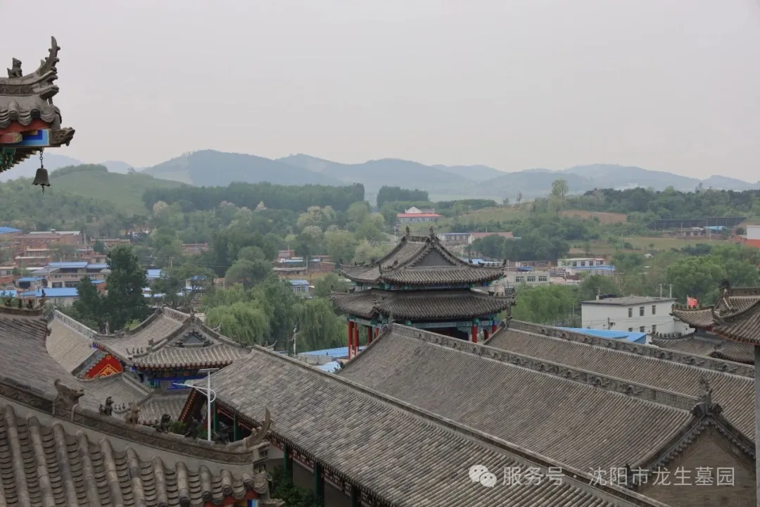 粽香寄情，温暖同行——沈阳墓园记2025龙生端午公益一日游
