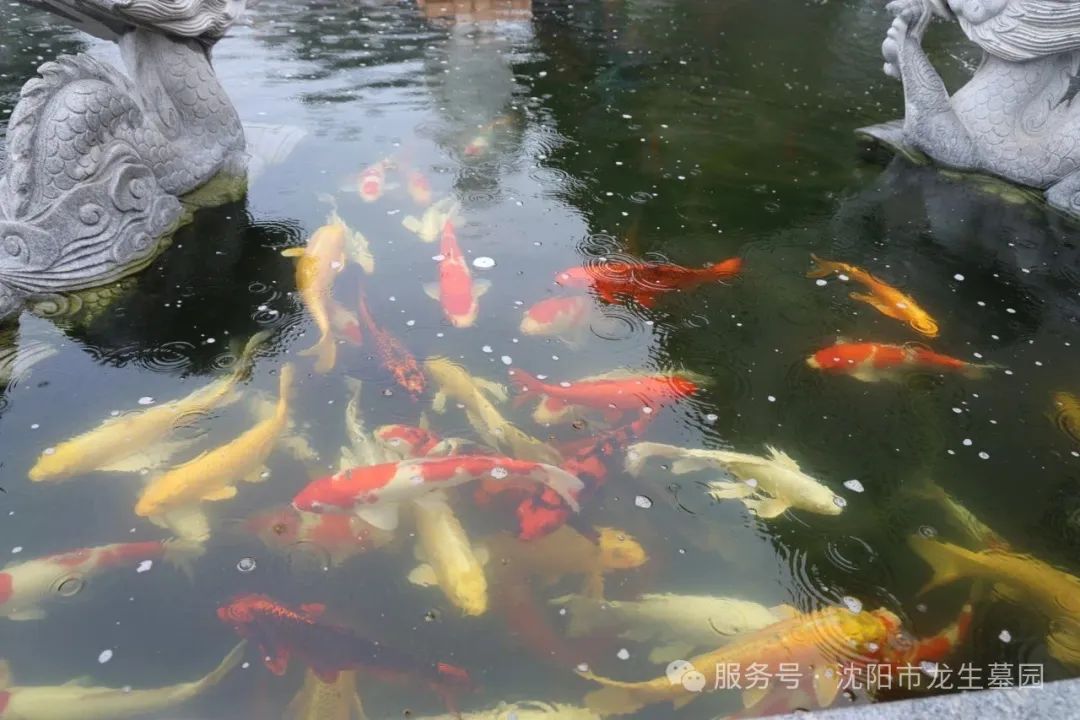 沈阳龙生墓园父亲节特辑|把爱酿进时光