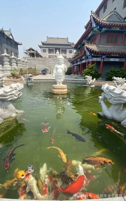 沈阳墓园邀您共赴父亲节温情公益一日游