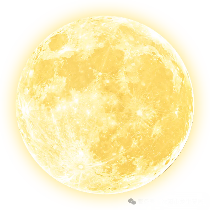心香遥寄，灯火传情 | 沈阳龙生墓园中元节代祭服务与祈福河灯预售温情上线