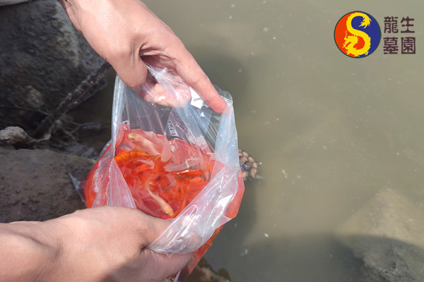 沈阳墓地陵园骨灰保管防火防盗方案