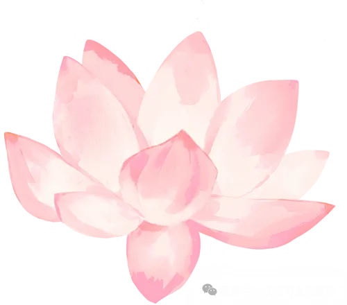 心香遥寄，灯火传情 | 沈阳龙生墓园中元节代祭服务与祈福河灯预售温情上线