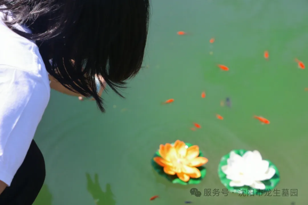 图片沈阳陵园中元祭·沈阳墓园人文礼｜龙生第八届中元文化节圆满礼成