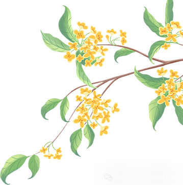 月满华诞,思念更长 | 沈阳龙生墓园代祭,一份家国同庆时的温暖托付