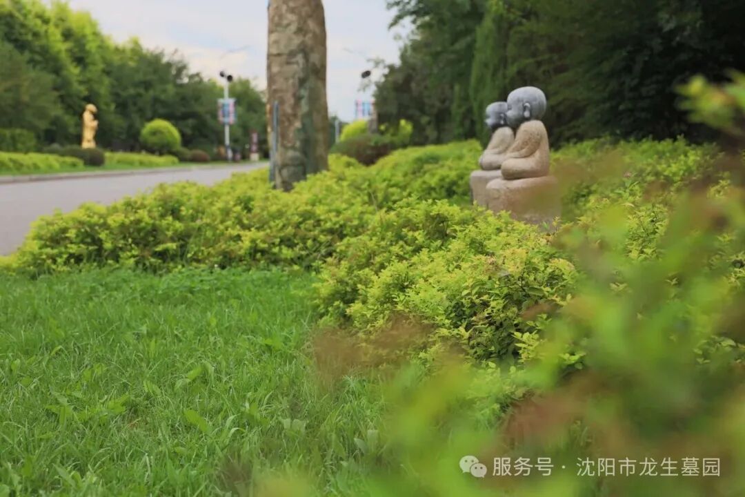 让思念在“数字”与自然中永续 | 沈阳龙生墓园第五届节地生态葬圆满礼成