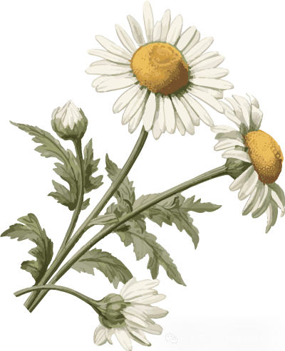 月满华诞,思念更长 | 沈阳龙生墓园代祭,一份家国同庆时的温暖托付