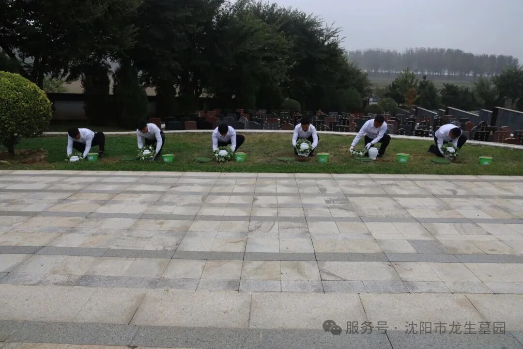 让思念在“数字”与自然中永续 | 沈阳龙生墓园第五届节地生态葬圆满礼成
