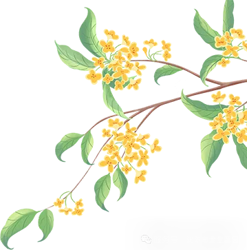 月满华诞，思念更长 | 沈阳龙生墓园代祭，一份家国同庆时的温暖托付