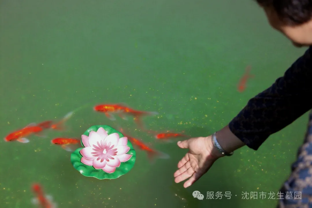 图片沈阳陵园中元祭·沈阳墓园人文礼｜龙生第八届中元文化节圆满礼成