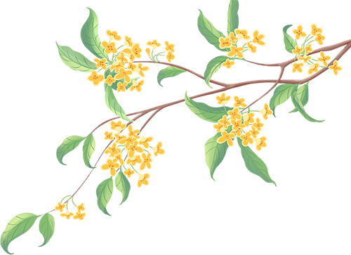 月满华诞,思念更长 | 沈阳龙生墓园代祭,一份家国同庆时的温暖托付