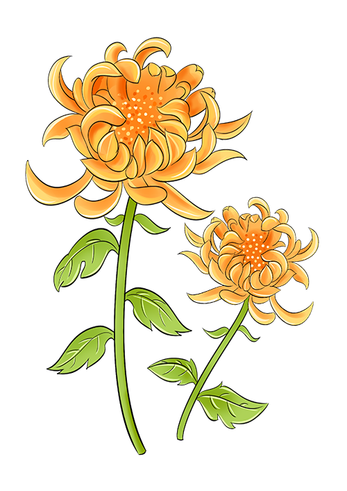 「岁岁重阳，情系龙生」沈阳龙生墓地陪您把思念酿成温暖