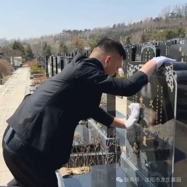 「岁岁重阳，情系龙生」沈阳龙生墓地陪您把思念酿成温暖