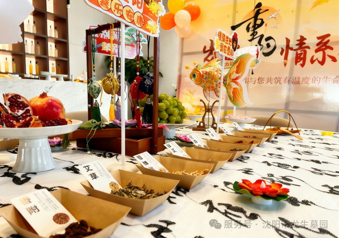 「岁岁重阳，情系龙生」沈阳龙生墓地陪您把思念酿成温暖