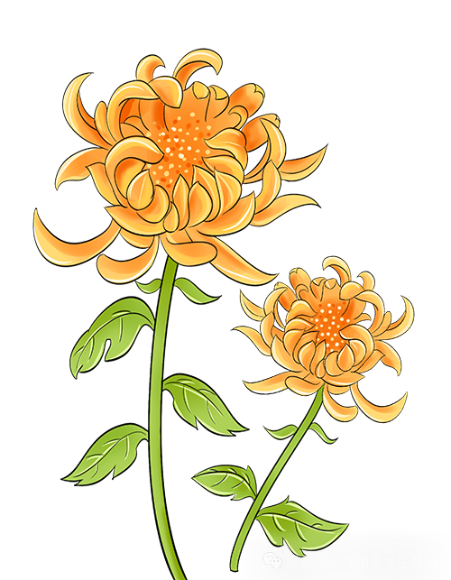 「岁岁重阳，情系龙生」沈阳龙生墓地陪您把思念酿成温暖