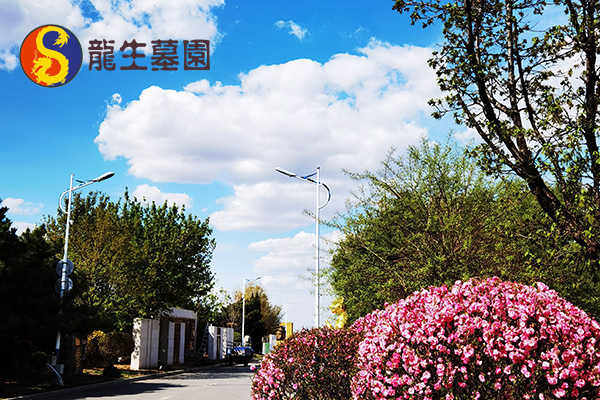 如何辨别沈阳陵园合法性，避免潜在风险？