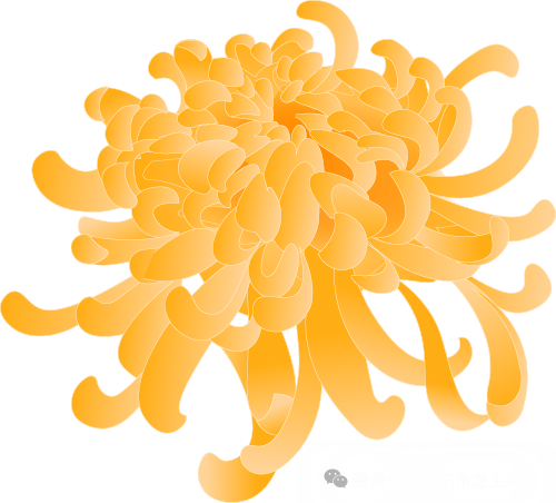 「岁岁重阳，情系龙生」沈阳龙生墓地陪您把思念酿成温暖