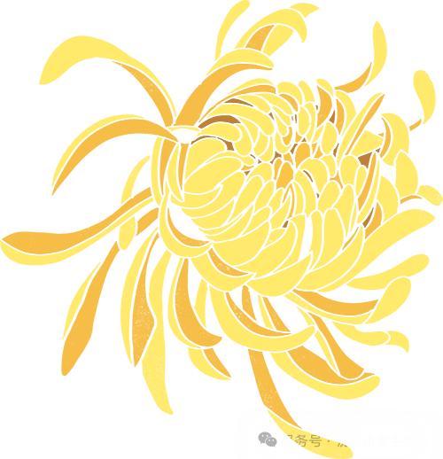 「岁岁重阳，情系龙生」沈阳龙生墓地陪您把思念酿成温暖