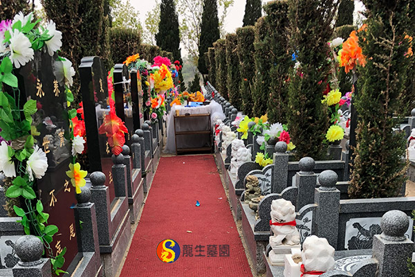 沈阳墓园骨灰安葬的基本流程详解：从取骨灰到祭祀的每一步